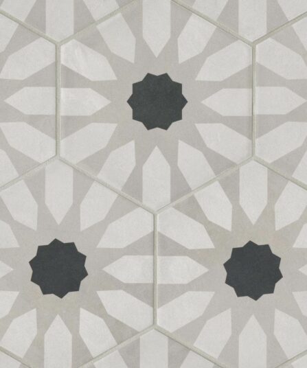 Allora 8.5" x 10" Matte Fiore Hexagon Deco Porcelain Tile For Living Room DECALLFIODECOM