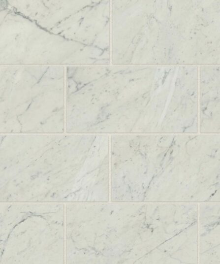 Classic 2.0 12" x 24" Floor & Wall Tile in Bianco Carrara For Living Room STPCL2BIC1224